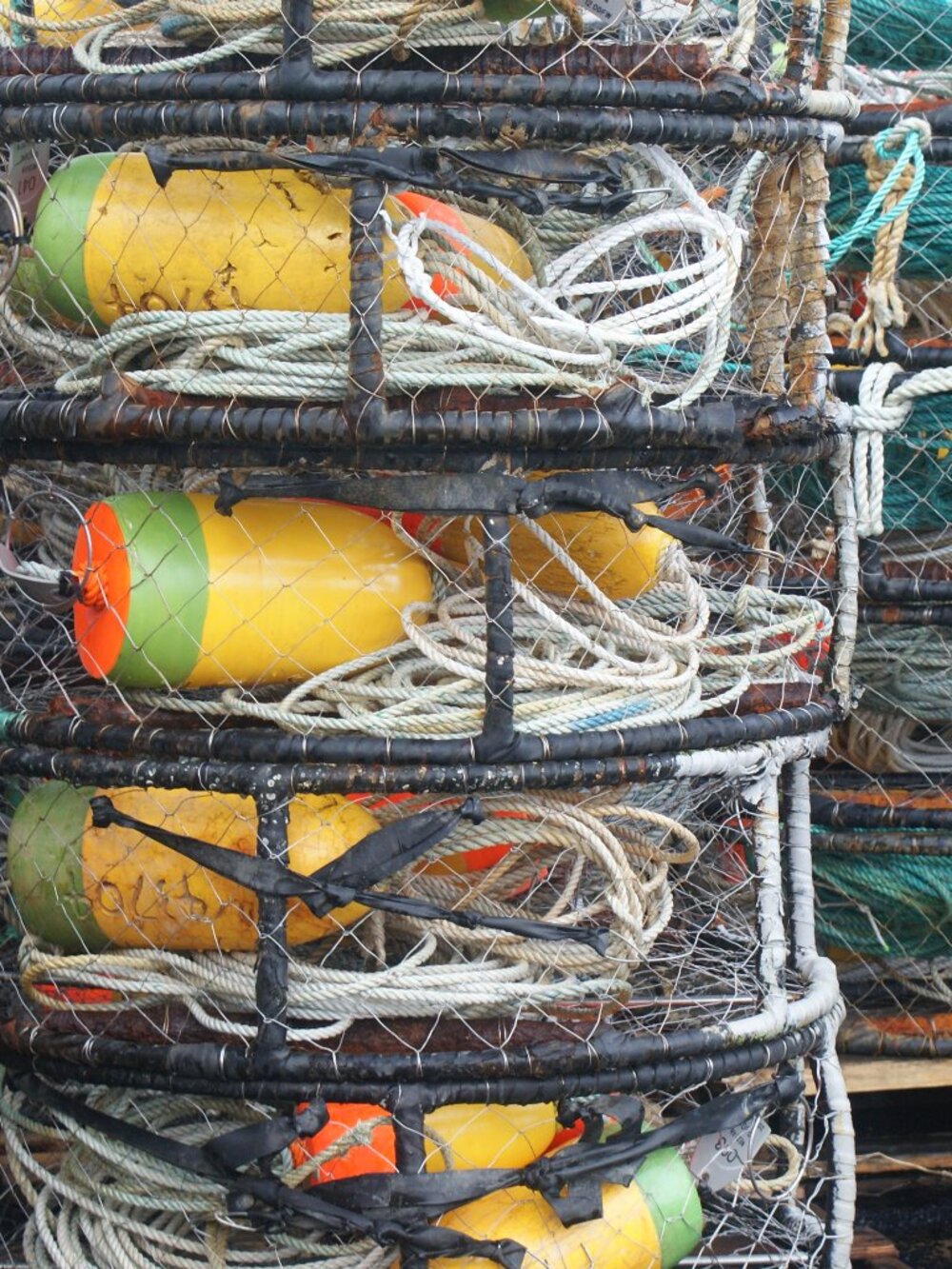 Meet your Posher, Kyle